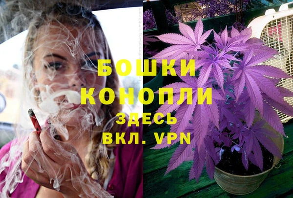 бошки Беломорск
