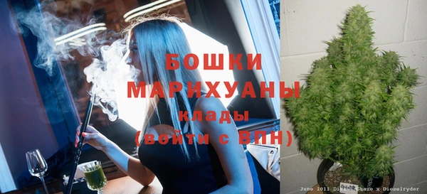 ГАЛЛЮЦИНОГЕННЫЕ ГРИБЫ Богородицк