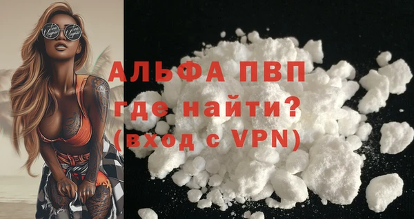 молекула духа Белоозёрский