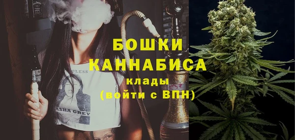 гидра Аркадак