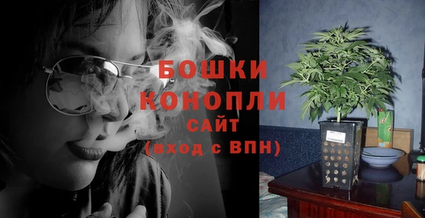 молекула духа Белоозёрский