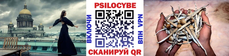 Псилоцибиновые грибы Cubensis  Купить  Всеволожск 
